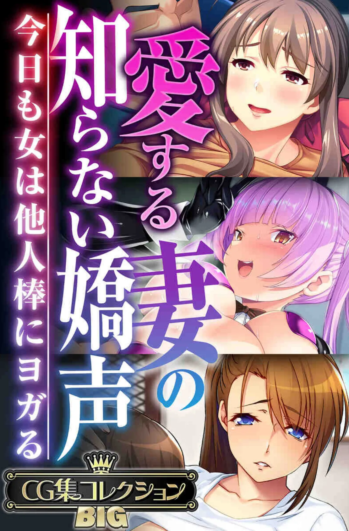 愛する妻の知らない嬌声 〜今日も女は他人棒にヨガる〜【CG集コレクションBIG】